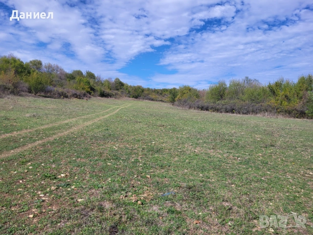 Земя / Парцел в село Малко Тръново , снимка 2 - Парцели - 53984734