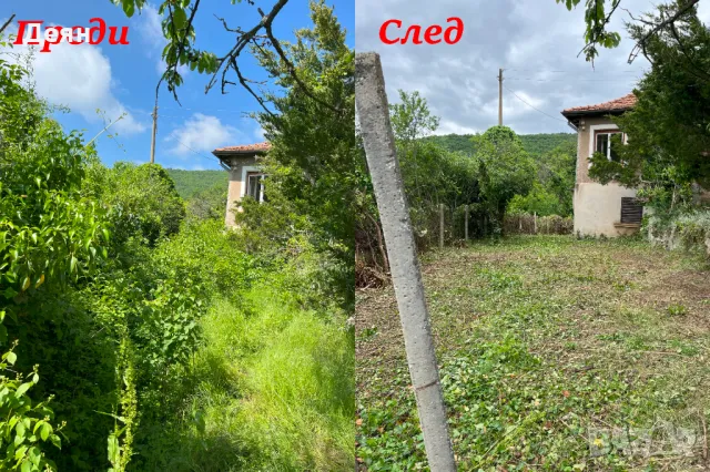 Почистване на дворове в община Своге, Годеч , Костинброд и Нови Искър, снимка 3 - Други почистващи услуги - 41537338