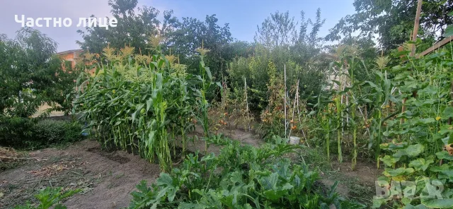 Продавам къща в село Строево, снимка 10 - Къщи - 56464452