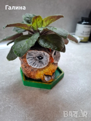 Декоративна саксийка с теменужка, снимка 3 - Саксии и кашпи - 51661743