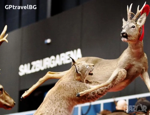 Ловно Изложение „Die Hohe Jagd & Fischerei” – Залцбург