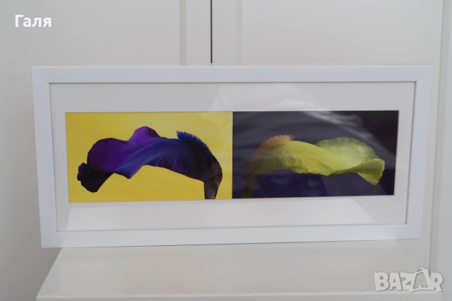 Фотография диптих, рамкирана, цветна, снимка 2 - Декорация за дома - 52823647