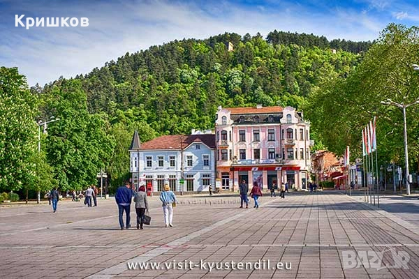 Продавам два етажа от триетажна къща с двор и гараж в Кюстендил, снимка 9 - Етаж от къща - 53948691