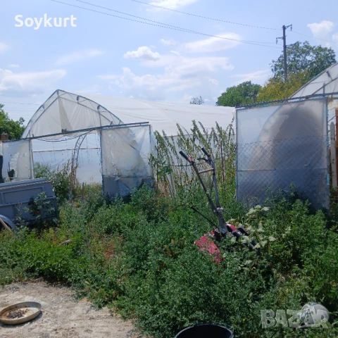 2 имота в един двор  1300М2 с 2 Оранжерии По 150м2 общо 300м2 , снимка 12 - Парцели - 50916749