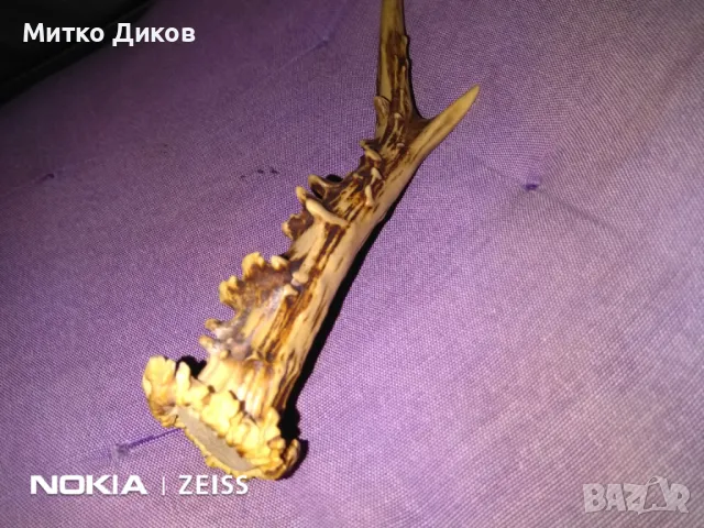 Дръжка за нож от еленов рог 225мм на 20мм отлична, снимка 8 - Ножове - 48001087