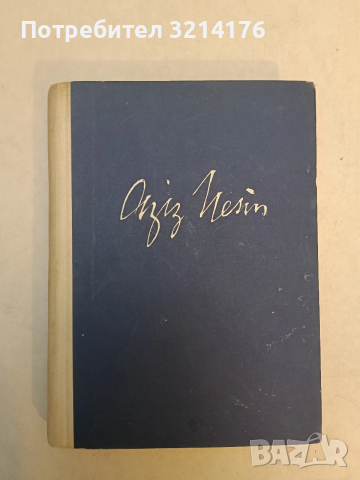 Изборът на Софи. Книга 2 - Уилям Стайрън, снимка 2 - Художествена литература - 53899784