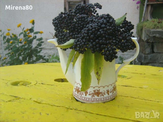 Домашен сироп от черен бъз от Троянския балкан, снимка 3 - Домашни напитки - 19340793