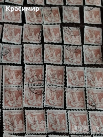 Czechoslovakia Medicin Doctor 1954 г. 225 бр. , снимка 14 - Филателия - 53174260