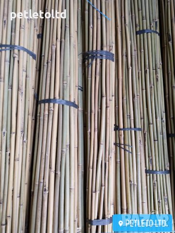 Бамбукови колчета Ф 16 мм - Ф 18 мм / 2,10 метра, снимка 7 - Разсади - 36886966
