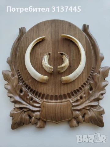 поставка за ловен трофей глиги от диво прасе с дърворезба , снимка 4 - Декорация за дома - 50921059