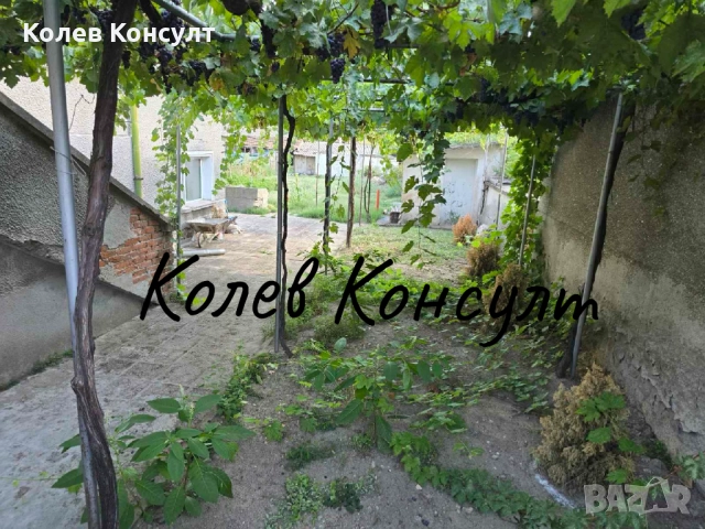 Продавам самостоятелна къща град Димитровград, кв. “Черноконево”, снимка 3 - Къщи - 51591080