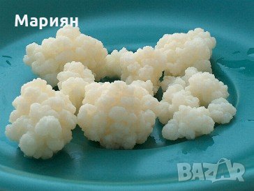 раздавам кефир/ тибетска гъба/, снимка 2 - Домашни напитки - 24003387