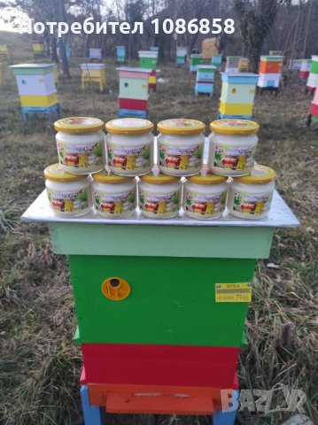 Мед и пчелни продукти от Троянския балкан, снимка 2 - Пчелни продукти - 39101523