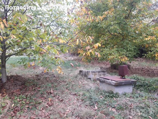 Голям парцел в 7855 Бракница, снимка 6 - Парцели - 56503924