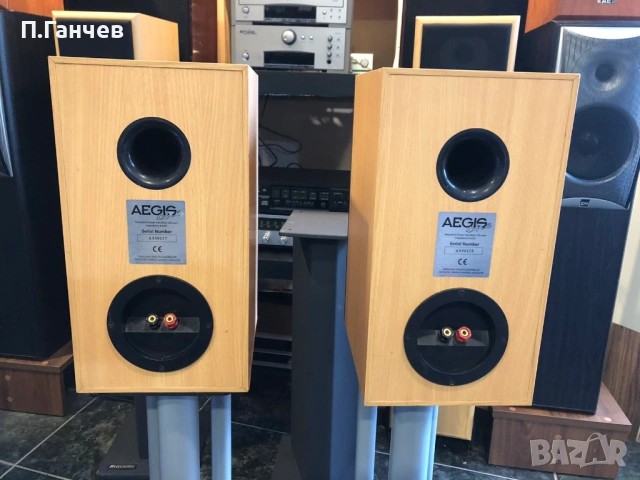 ACOUSTIC ENERGY AEGIS ONE Тонколони, снимка 5 - Тонколони - 53956964