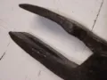Ковашки клещи, снимка 3