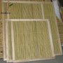 100 Семена от бамбук Moso-Bamboo рядко срещано растение за декорация на вашата градина бамбук мосо б, снимка 10