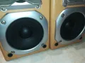 PANASONIC X2 SPEAKER SYSTEM-ВНОС SWISS 1103251826, снимка 8