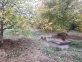 Голям парцел в 7855 Бракница, снимка 6