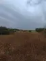 продавам атрактивен парцел в село Брестак , снимка 3