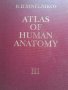 Атлас на човешката анатомия нервна система , ендокринни жлези и органи с вътрешна секретция л Ников , снимка 1 - Специализирана литература - 39736908