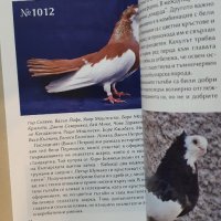 Български гълъби и кокошки, снимка 12 - Енциклопедии, справочници - 42222208
