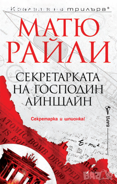 Секретарката на господин Айнщайн, снимка 1