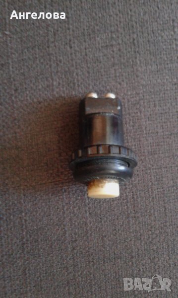 Бутон, снимка 1