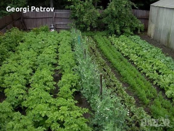 Биотор ( хумус ) за градина от Калифорнийски червей , снимка 1