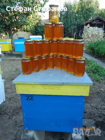 Захаросан пчелен мед, снимка 4 - Пчелни продукти - 48475683