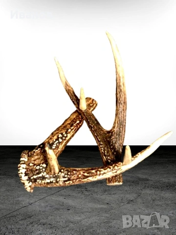 Закачалка, изработена от Истински рога на благороден елен 