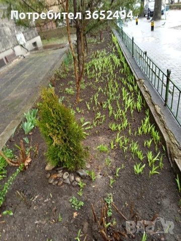 зов за помощ