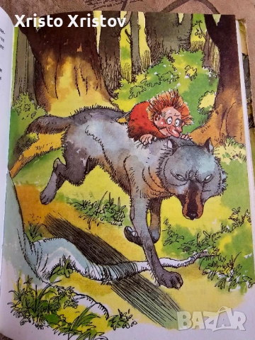 Книга Маншон, Полуобувка, Мъхеста брада, снимка 2 - Детски книжки - 53378809