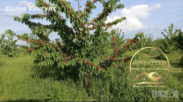 овощна градина село Узунджово, снимка 5 - Парцели - 56261615