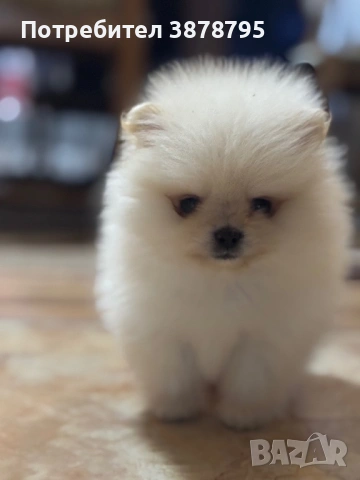 Малко сладко искушение