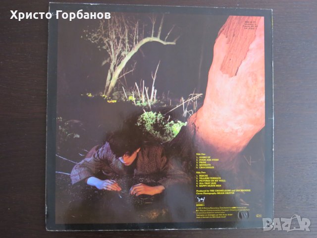 Грамофонни плочи, снимка 5 - Грамофонни плочи - 30764479