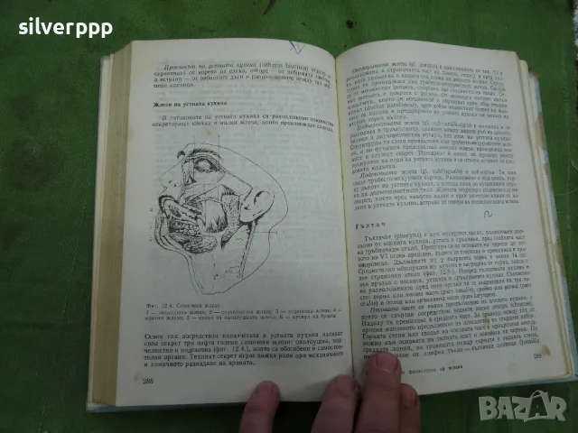 учебник анатомия и физиология на човека , снимка 3 - Специализирана литература - 48198509