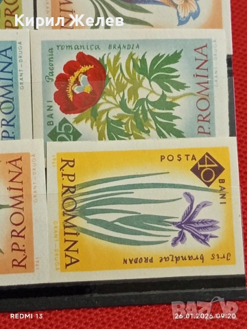 Стари пощенски марки без печат ЦВЕТЯ РУМЪНИЯ за КОЛЕКЦИЯ ДЕКОРАЦИЯ 52020, снимка 10 - Филателия - 53227487