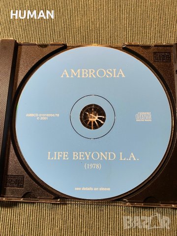 SBB - Larry Carlton - Ambrosia , снимка 15 - CD дискове - 42473874