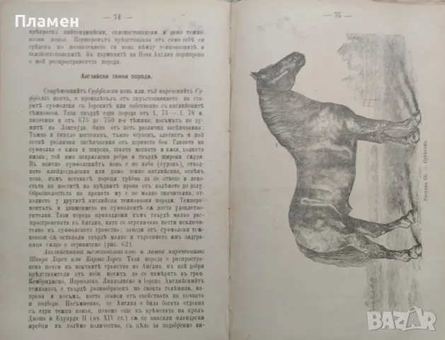 Коневъдство Павелъ Кулешовъ /1892/, снимка 8 - Антикварни и старинни предмети - 47534397