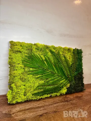  “Тропически оазис” със скандинавски мъх, снимка 3 - Декорация за дома - 49848838