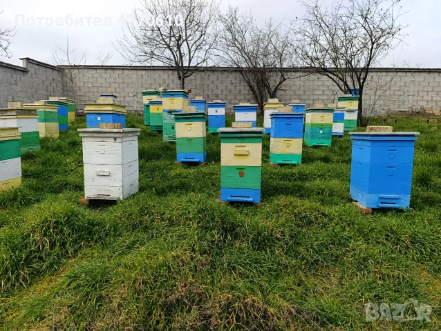 Продавам пчелни семейства 