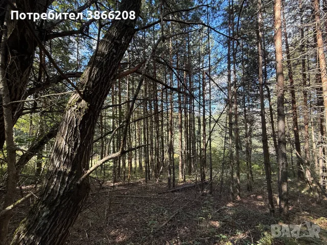 Земеделска земя , снимка 5 - Парцели - 56413709