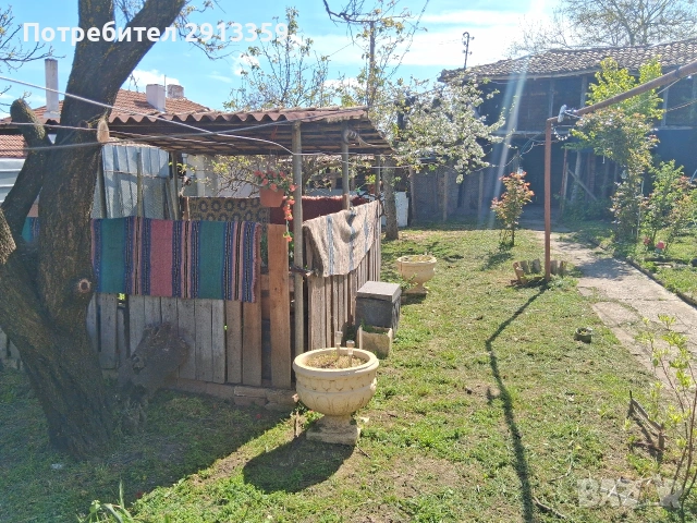 БЕЗ ПОСРЕДНИК-Селски имот в село Баячево-Собственик, снимка 16 - Къщи - 54242247