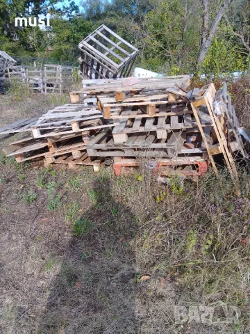 Палети всякакви размери , снимка 2 - Друго търговско оборудване - 47402232