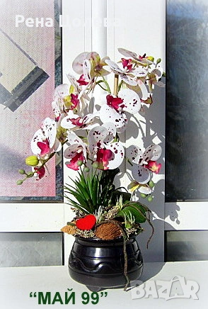 Орхидея в керамична кашпа