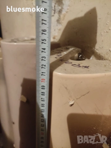 Цял ботуш видима, снимка 4 - ВИК - 39722282