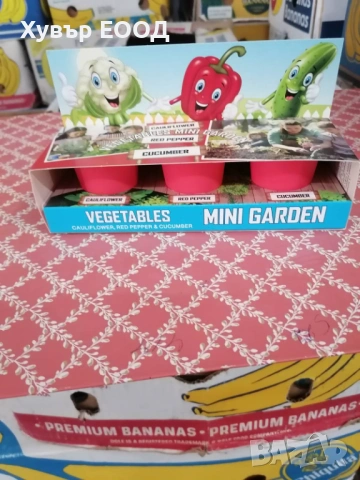 Детска мини градина със семена - на ЕДРО