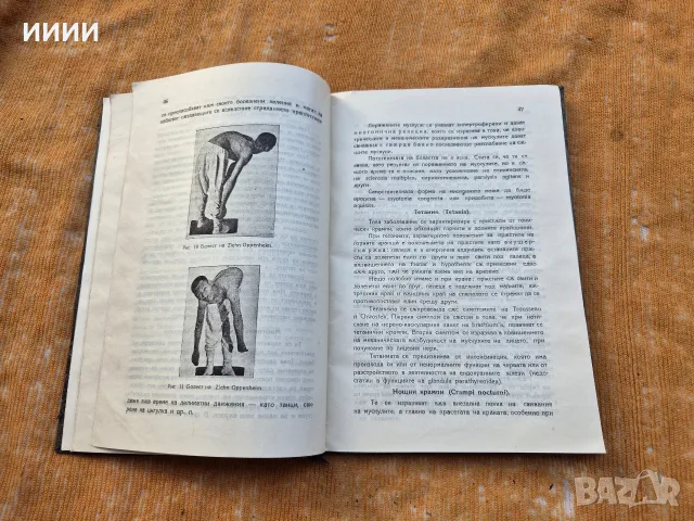 Стара книга 1923 г., снимка 3 - Антикварни и старинни предмети - 56442269