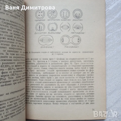 Болести на половите органи при разплодниците, снимка 7 - Специализирана литература - 51084956